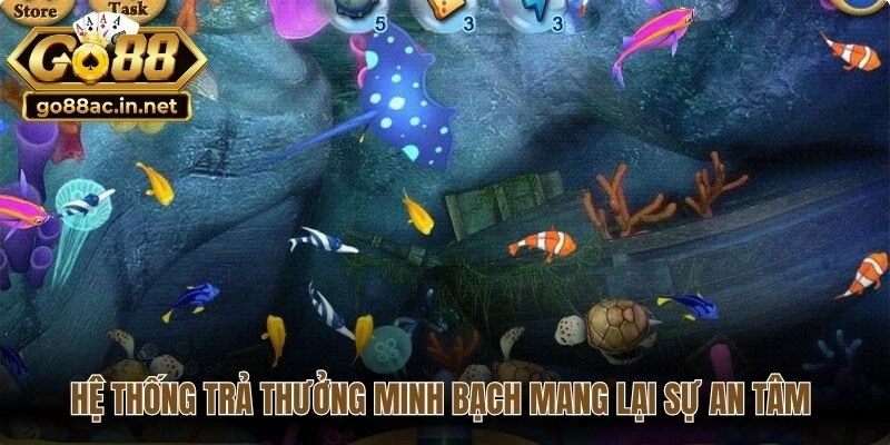 Hệ thống trả thưởng minh bạch mang lại sự an tâm tuyệt đối